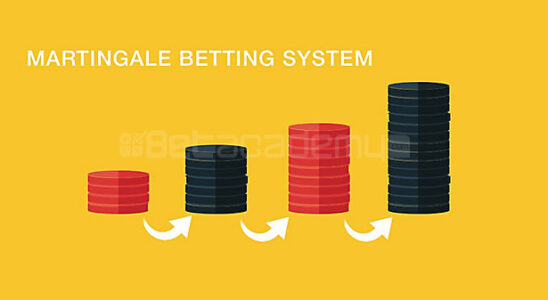 Martingale Betting System